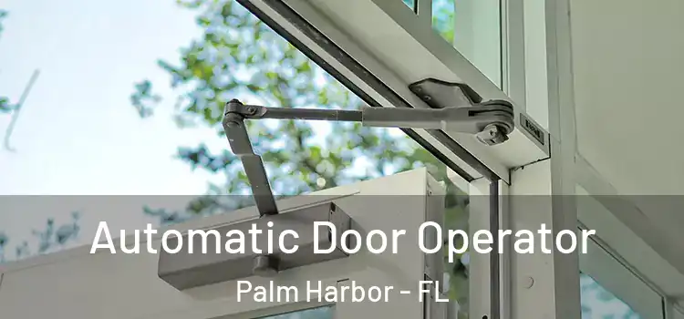 Automatic Door Operator Palm Harbor - FL