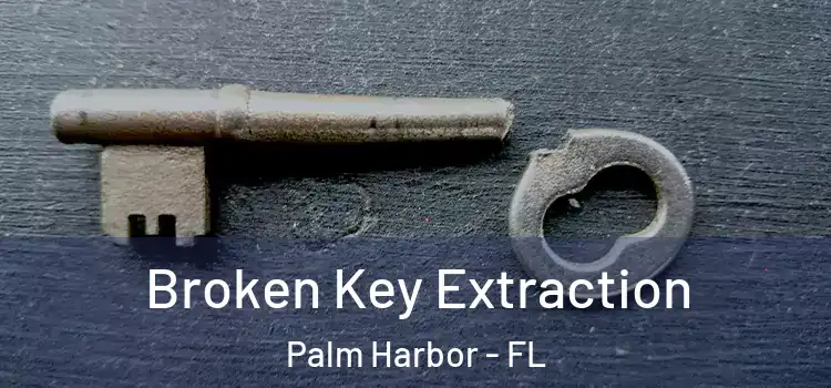 Broken Key Extraction Palm Harbor - FL