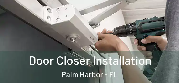 Door Closer Installation Palm Harbor - FL