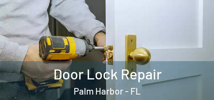 Door Lock Repair Palm Harbor - FL
