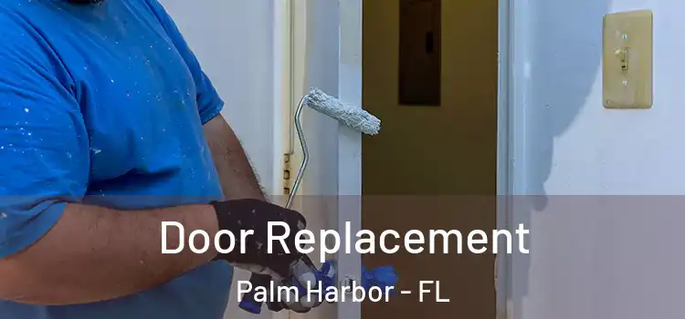 Door Replacement Palm Harbor - FL