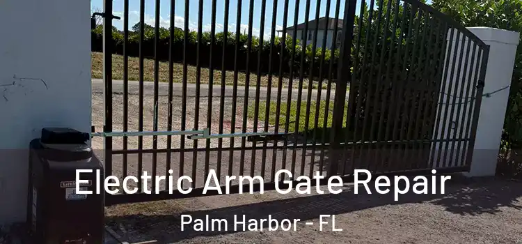 Electric Arm Gate Repair Palm Harbor - FL