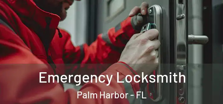 Emergency Locksmith Palm Harbor - FL