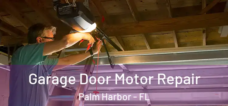 Garage Door Motor Repair Palm Harbor - FL