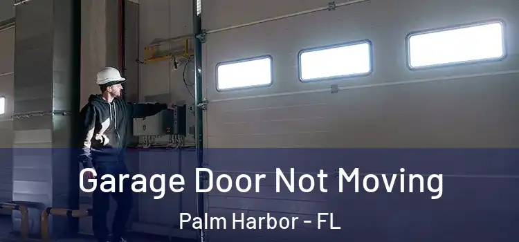  Garage Door Not Moving Palm Harbor - FL