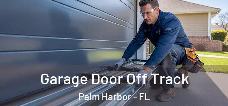  Garage Door Off Track Palm Harbor - FL