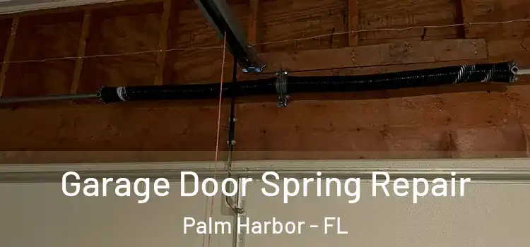  Garage Door Spring Repair Palm Harbor - FL