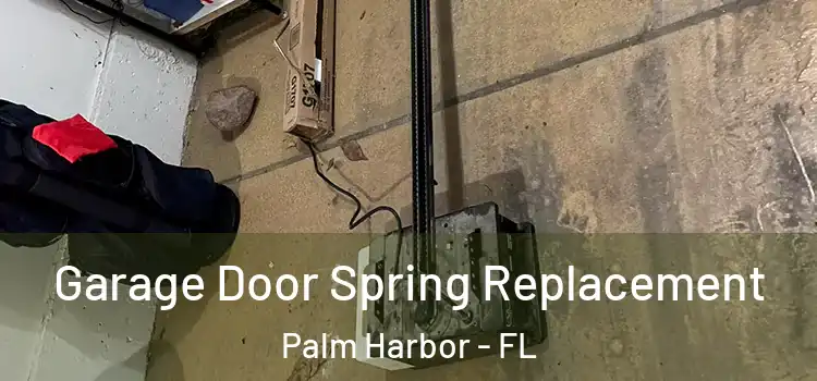  Garage Door Spring Replacement Palm Harbor - FL