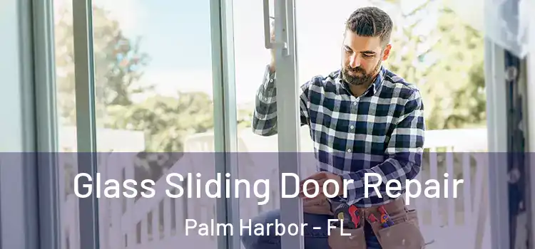 Glass Sliding Door Repair Palm Harbor - FL