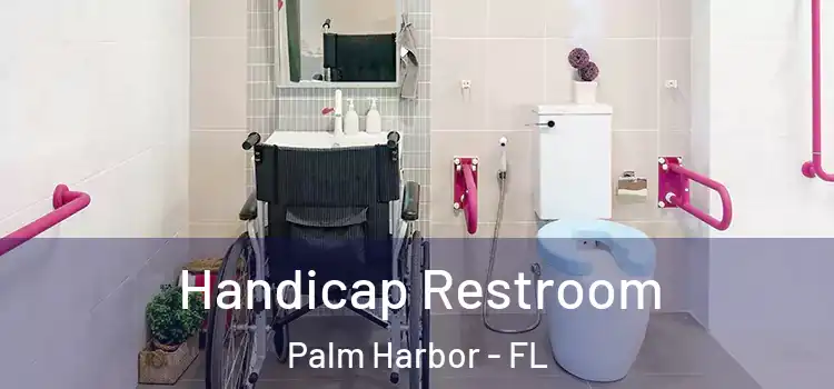 Handicap Restroom Palm Harbor - FL