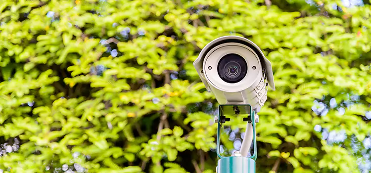Advanced Surveillance Solutions for Every Need in Palm Harbor