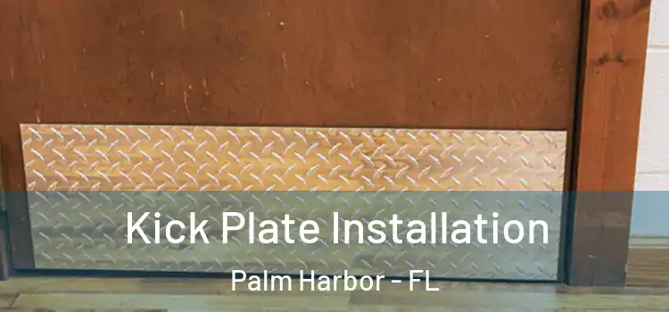 Kick Plate Installation Palm Harbor - FL