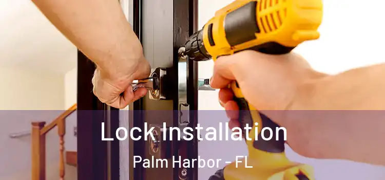 Lock Installation Palm Harbor - FL