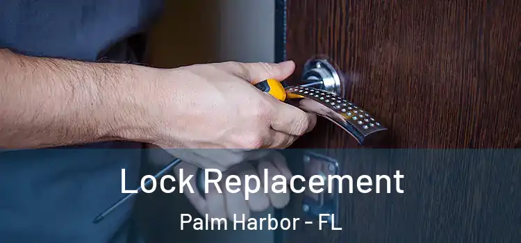 Lock Replacement Palm Harbor - FL