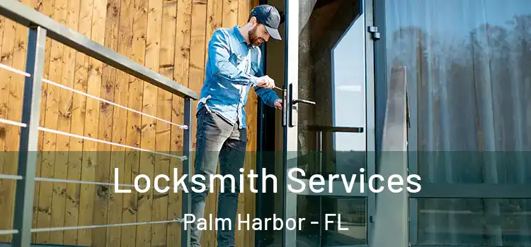 Locksmith Services Palm Harbor - FL