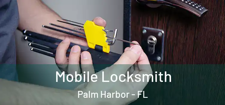Mobile Locksmith Palm Harbor - FL
