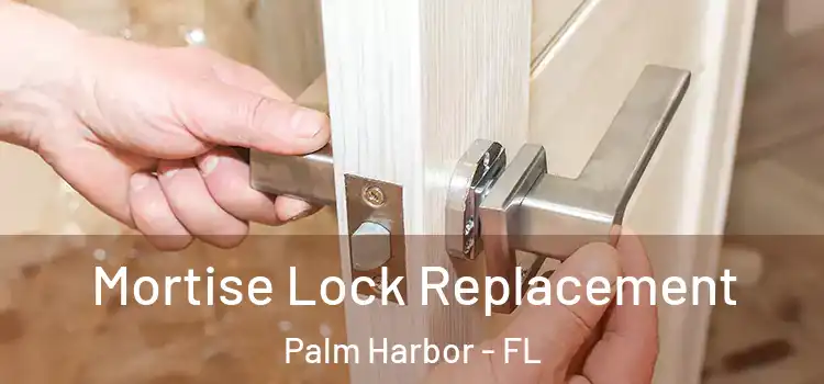 Mortise Lock Replacement Palm Harbor - FL