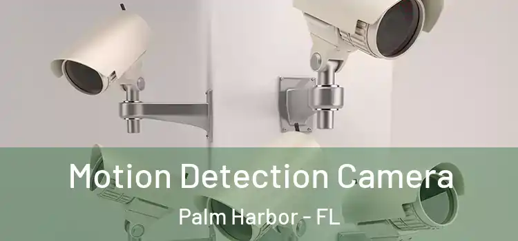  Motion Detection Camera Palm Harbor - FL