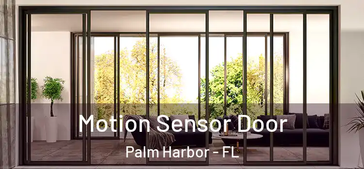 Motion Sensor Door Palm Harbor - FL