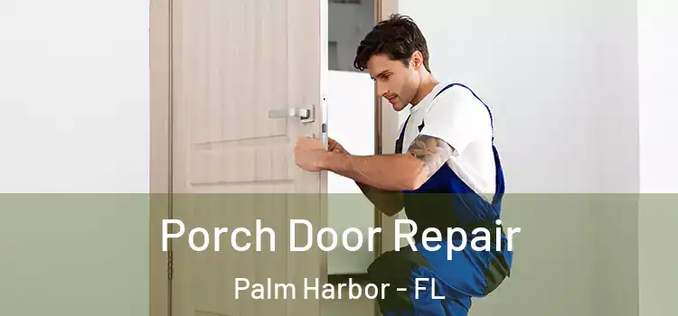  Porch Door Repair Palm Harbor - FL