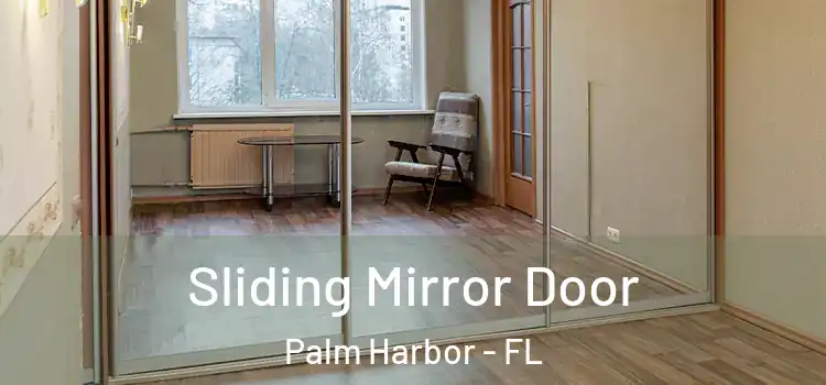  Sliding Mirror Door Palm Harbor - FL