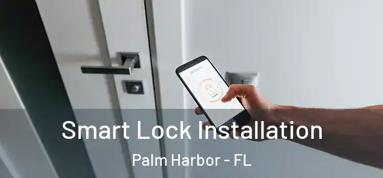 Smart Lock Installation Palm Harbor - FL