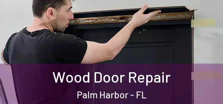 Wood Door Repair Palm Harbor - FL